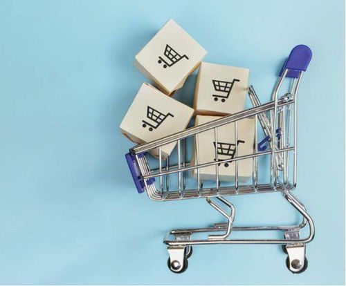 市場細分驅動下的得物 深化經營現狀、挑戰與未來電商平臺突破之路